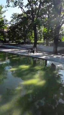 Opoles parkının dingin güzelliğine dalın. Kamera sizi sakin bir yolculuğa çıkarırken. Resimli manzaraları boyunca. Parklar ağaçlarla çevrili bu patika bize canlandırıcı bir kaçış yolu sunuyor.