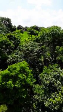 Budapeşte güzel parklar ve yeşil alanlarla dolu bir şehirdir. Büyük ve iyi bilinen Şehir Parkı 'ndan küçük ve daha samimi mahalle parklarına kadar herkes için bir şeyler var. Bu video
