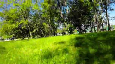 Polonya 'nın Opole şehrinin göbeğinde çekilen bu büyüleyici videoyla kendinizi doğanın sükunetine bırakın. Kameramız sizi çarpıcı bir parka doğru huzurlu bir yolculuğa çıkarıyor.