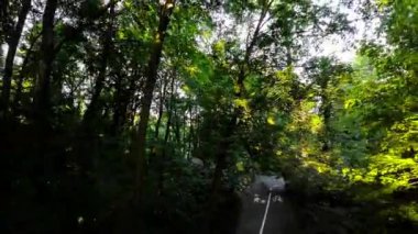 Bir bisikletçi kaldırımlı bir yolda parktan geçiyor. Bisikletçi yemyeşil ağaçlar ve öten kuşların sesiyle çevrilidir. Yol geniş ve bakımlı ve birkaç bisikletçi daha var.