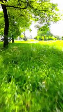 Budapeşte, Macaristan zengin bir kültürü ve tarihi olan güzel bir şehir. Bu video sizi tarihi Buda Kalesi 'nden modern Margaret Adası' na doğru bir yolculuğa çıkarıyor. Göreceksin.