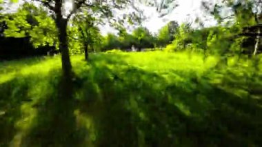 Bu, Polonya 'nın Opole şehrinde çekilmiş güzel bir doğa videosu. Videoda yemyeşil ağaçlar, açık mavi bir gökyüzü ve huzurlu bir atmosfer yer alıyor. Video rahatlama ya da kullanım için mükemmeldir.