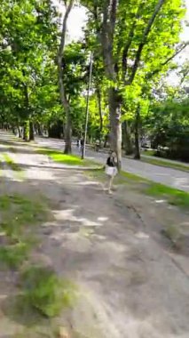 Macaristan 'ın Budapeşte kentindeki güzel şehir parkını ve içinde bulunan görkemli Güzel Sanatlar Müzesini gösteren bir video. Park, yerli halk ve turistler için oldukça popüler bir yer.