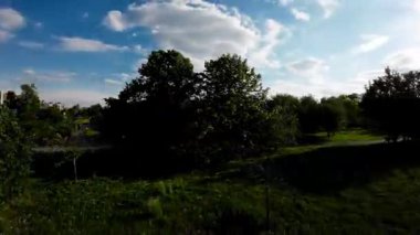 Huzur dolu bir parkın bu büyüleyici videosuyla kendinizi doğanın sükunetine bırakın. Bereketli yeşil ağaçlar, canlı çiçekler ve sakin atmosfer mükemmel bir manzara ortamı yaratır.