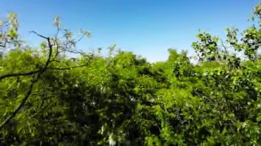 Polonya 'nın Opole kentinin yemyeşil ve sakin atmosferine dalın, sizi onun resimli parkında sanal bir gezintiye çıkarıyoruz. Videomuz bu karmaşadan huzurlu bir kaçış sunuyor.