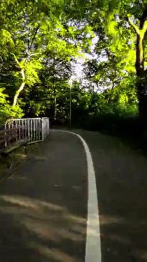 Bu video, parkta bisiklete binen birinin POV bakış açısı kaydıdır. Park yemyeşil ağaçlar ve ağaçların arasından süzülen asfalt bir yol ile dolu. Bisikletçi.