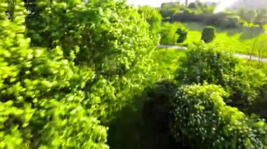 Kendinizi doğanın sükunetine bu büyüleyici videoyla daldırın, bu video sizi güzel bir parkta huzurlu bir yolculuğa çıkarıyor. Bereketli yeşil ağaçlar, canlı çiçekler ve sakin yollar.