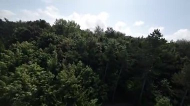 Polonya 'nın büyüleyici Jastrzebia Gora' sı üzerinde nefes kesici bir hava yolculuğuna çıkın. Baltık Denizi boyunca uzanan bu kıyı cenneti büyüleyici beyaz kumlu plajlar, kristal berrak sular ve