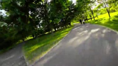 Güneşli bir günde yemyeşil bir parkta huzurlu bir gezinti. Video birinci şahıs perspektifi, izleyiciye yürüme hissini veriyor. Park çeşitli ağaçlarla dolu.