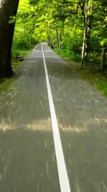 Asfaltlı bir yolda, güzel bir parkta paten kayan genç bir kadın. Park yemyeşil ağaçlarla dolu ve güneş parlıyor. Patenci kask ve koruyucu kıyafet giyiyor..