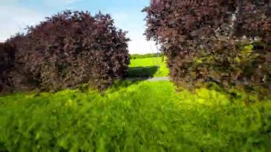 Huzurlu bir parkın bu büyüleyici görüntüsüyle kendinizi doğanın sükunetine bırakın. Video, uçsuz bucaksız yemyeşil alanını gözler önüne sererek parkın nefes kesici hava görüntüsüyle açılıyor.