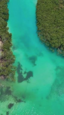 Bu çarpıcı hava görüntüsüyle canlı renklerin büyüleyici güzelliğine kendini daldır. Yolculuğumuz, canlı yeşil gölgeliğin oluşturduğu yemyeşil bir tropikal ormanın üzerinde başlıyor.