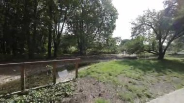 Bu, Polonya 'nın Varşova kentindeki bir parkta yapılan yürüyüşün videosu. Park, çok sayıda ağaç ve bitki çeşidi de dahil olmak üzere yemyeşil alanlarla doludur. Ayrıca parkta akan bir nehir var.