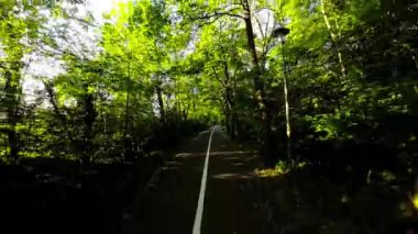 Bir bisikletçi, yemyeşil bir orman boyunca asfalt bir yol boyunca gider. Yol uzun ağaçlar ve çeşitli çalılar ve bitkilerle çevrilidir. Bisikletçi bir kask ve koyu renk kıyafetler giyiyor. Video.
