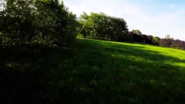 Bu büyüleyici videoyla kendinizi doğanın sükunetine bırakın, sizi sersemletici bir parkta huzurlu bir yolculuğa çıkarıyor. Yeşillik ağaçlar, yemyeşil çimenler ve renkli çiçekler yaratır.