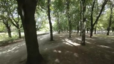 Polonya 'nın Varşova kentindeki bir parktan geçen birinci şahıs görüntüsü. Video bir insansız hava aracının perspektifinden çekildi ve parkların birçok özelliğinin eşsiz bir görüntüsünü sağlıyor. İnsansız hava aracı uçuyor