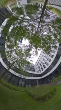 Bu, bir gün içindeki bir ağacın hızlandırılmış videosu. Video, yere monte edilmiş bir balık gözü kamerasından çekildi. Ağaca bakıyordu. Ağaç çerçevenin ortasında ve...