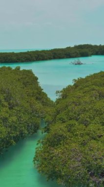 Bereketli mangrov ormanlarında ve egzotik bir varış noktasının el değmemiş sularında büyüleyici bir yolculuğa çıkın. Değişik deniz canlıları ve canlı bitki örtülerinin ahenkli bir arada yaşamasına tanık olun.