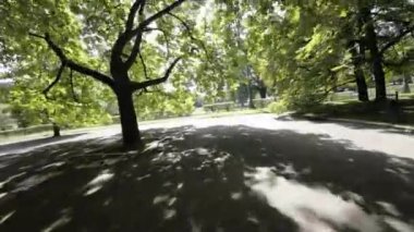 Polonya 'nın Varşova kentindeki bir parktan geçen birinci şahıs görüntüsü. Video, parkta uçan bir dronun perspektifinden çekildi ve parkların birçok özelliğinin benzersiz bir görüntüsünü sağlıyor.