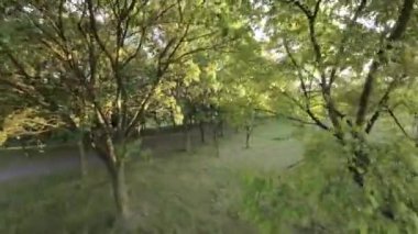 Yeşillik bir parkta rahatça dolaşın ve doğa manzarası ve seslerinin tadını çıkarın. Kuşların cıvıldaması ve rüzgardaki yaprakların hafif hışırtıları huzur verici bir şey yaratır.
