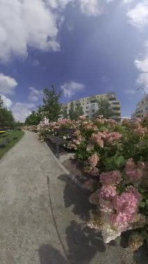 Kendinizi doğanın güzelliğine, çarpıcı bir bahçenin 360 derecelik bu büyüleyici video turnesiyle daldırın. Videoda renkli çiçeklerin bolluğu, yemyeşil ve yeşil renkli bir park yer alıyor.