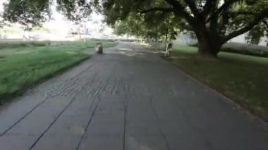 Polonya, Varşova 'da bir parka doğru sakin bir yürüyüş, muhteşem bir çeşme, yemyeşil ağaçlar ve büyüleyici bir mimari de dahil olmak üzere şehrin güzel manzarasını sergilemek..
