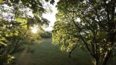Video, ağaçlı, çimenli ve batan güneşli bir parkın görüntüsüyle başlıyor. Kamera daha sonra sağa döner ve parkın daha fazlasını gözler önüne serer. Video birinci şahıs bakış açısıyla çekildi.