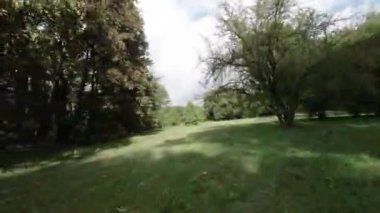 Bu, parkta sakin bir yürüyüşün birinci şahıs bakış açısı videosu. Video yüksek çözünürlüklü çekiliyor ve yemyeşil, renkli çiçekler ve parkın sakin atmosferini yakalıyor.