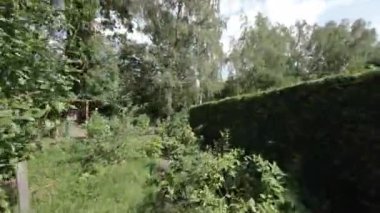 Burası Varşova 'nın göbeğinde huzurlu bir bahçe vahası. Bahçe gür yeşilliklerle doludur, yüksek ağaçlar, çalılar ve her renkten çiçekler de dahil. Küçük bir gölet de var.