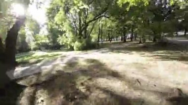 Bu, parkta yürüyüşün birinci şahıs bakış açısı videosu. Video güneşli bir günde çekildi ve park yemyeşil yemyeşil. Ağaçlar uzun ve yapraklar canlı bir yeşildir. Şey...