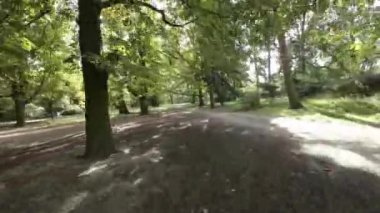 Bu, parkta yürüyüşün birinci şahıs bakış açısı videosu. Video güneşli bir günde çekildi ve park yemyeşil yemyeşil. Ağaçlar uzun ve görkemli, ve çiçekler...