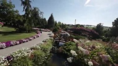 Bu video renkli çiçekler, yemyeşil yeşillikler ve büyüleyici peyzajlarla dolu çarpıcı bir bahçe turu. Bahçede güller, zambaklar da dahil olmak üzere çeşitli çiçekler bulunuyor.