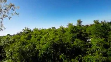 Opole, Polonya üzerinde birinci şahıs bir FPV uçuşu. Video şehir manzarası ile başlıyor, sonra sokak seviyesine iniyor ve şehrin sokaklarında ve parklarında uçuyor. Bu video...
