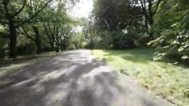 Polonya 'nın Varşova bölgesindeki bir parkta yürürken 360 derecelik bir kamerayla çekilmiş bir video. Video geniş, asfalt bir yol gösteriyor. Ormanlık bir alanda dönüyor. Ağaçlar uzun ve...