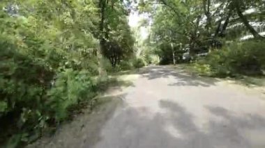 Kendini doğanın sükunetine bırak bu büyüleyici sakin ormanın içinden geçen sakin bir yürüyüşün videosuyla. Bereketli yeşil ağaçlar, canlı çiçekler ve cıvıldayan kuşlar bir senfoni yaratıyor.