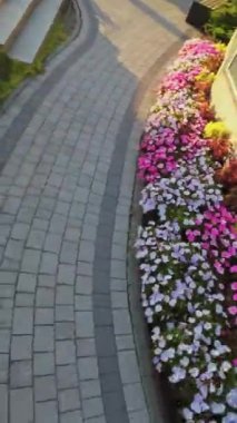 Çiçeklerin zarif mimari ile mükemmel bir uyum içinde açtığı büyüleyici bir dünyaya dalın. Videomuz sizi göz kamaştırıcı bir bahçeye canlı bir yolculuğa çıkarıyor.