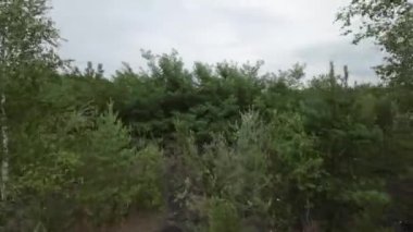 Bu video sizi terkedilmiş ve büyümüş bir fabrikaya götürüyor. Gizli güzelliğini ve çürümesini ortaya çıkarıyor. Dışarıdan bakıldığında, fabrika geçmişin unutulmuş bir kalıntısı gibi görünüyor.