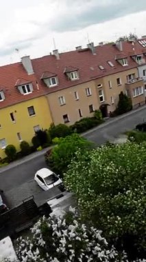 Bu güzel bir bahçede rahatlatıcı bir yürüyüşün videosu. Bahçe yemyeşil, renkli çiçekler ve güzel ağaçlarla dolu. Bu video, dolandırıcılıktan kaçmak isteyenler için mükemmel.