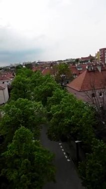 Bu, ağaçlar ve arabalarla dolu huzurlu bir caddenin videosu. Video birinci şahıs perspektifinden çekildi ve caddeyi aşağı doğru sürerken gösteriyor. Sokaklar ağaçlarla dolu.