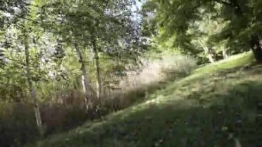 Kendinizi doğanın dingin güzelliğine bu büyüleyici videoyla daldırın. Nehirler boyunca sakin bir yolculukta bize katılın. Kıyıya karşı suyun hafif bir şekilde kesiştiği yerde...