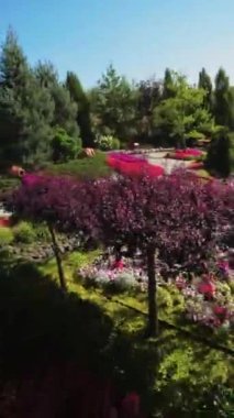 Bu video sizi canlı çiçekler ve karmaşık binalarla dolu çarpıcı bir minyatür dünyaya götürüyor. Her sahnedeki detaylara olan ilginiz sizi hayrete düşürecek.