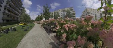 This is a beautiful garden with a path running through the center . The path is lined with pink flowers and there is a bench to the right of the path. The sky is blue with white clouds and the sun is