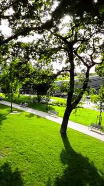 Bu video sizi modern bir şehir parkında yürüyüşe çıkarıyor. Park, oyun parkı, sıçrama tahtası ve yürüyüş yolu gibi çeşitli modern konforlara sahiptir. Park da öyle.