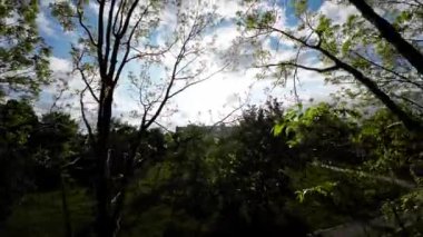Video, Opole Şehir Parkı 'nın doğal güzelliğini ve huzurlu atmosferini gösteren detaylı bir keşif sağlıyor. Parklar yemyeşil ağaçlar, canlı çiçekler ve bakımlı.