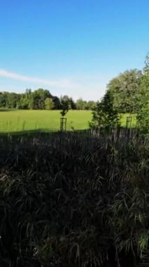 Parkta yürümenin rahatlatıcı videosuyla kendini doğanın güzelliğine bırak. Suyun yumuşak sesi ve gür yeşillik rahatlamanıza ve stresinizi atmanıza yardımcı olacaktır.