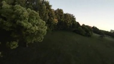 Bu nefes kesen hava görüntülerinde çeşitli yapraklı ve kozalaklı ağaçlarla dolu yemyeşil bir ormanın çarpıcı güzelliği görülüyor. Video, geniş kapsamlı bir panoramik çekimle açılıyor.