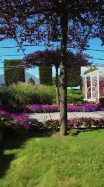 Titizlikle hazırlanmış bir minyatür parkta büyüleyici bir yolculuğa çıkarken kendinizi harikalar dünyasına daldırın. Videomuz size eşsiz bir bakış açısı sunuyor.