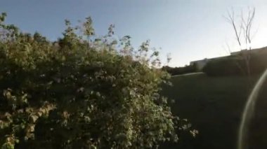 Yeşillik bir parkta rahatça dolaşın ve doğa manzarası ve seslerinin tadını çıkarın. Kuşların cıvıldaması ve rüzgardaki yaprakların hafif hışırtıları huzur verici bir atmosfer yaratır.