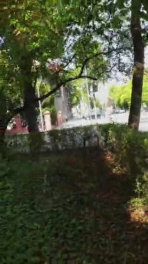 Bu video sizi güzel bir bahçede huzurlu bir yolculuğa çıkarıyor, şehir yaşamının koşuşturma ve koşuşturmasından huzurlu bir kaçış sunuyor. Yeşillik, renkli çiçekler ve sakinleştirici sesler.