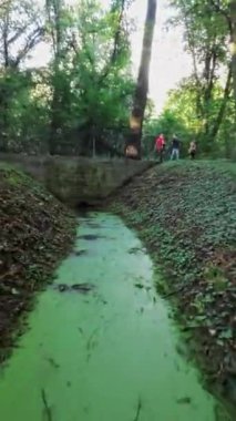 İçinde bulanık yeşil bir dere akan ıssız bir şehir parkı. Su durgun ve ördek otuyla kaplı. Derenin kıyıları yabani otlar ve molozlarla kaplıdır. Park çöplerle dolu.